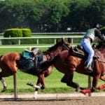 he loose horse nearly slammed into I'll Have Another,