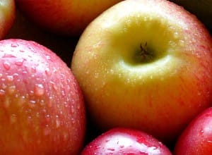 Fall Apples