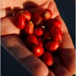 Miracle Berry