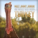Jimmy Junior, Wild Turkey’s Football Game-Picking Turkey