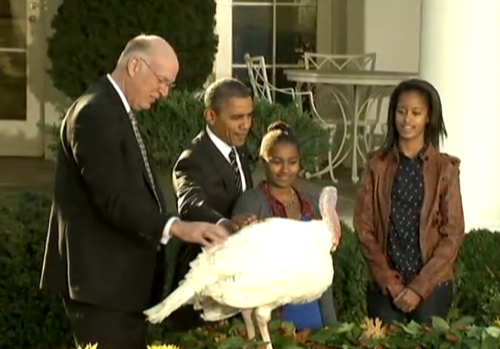 President Obama pardons Turkeys Cobbler and Gobbler for Thanksgiving 2012