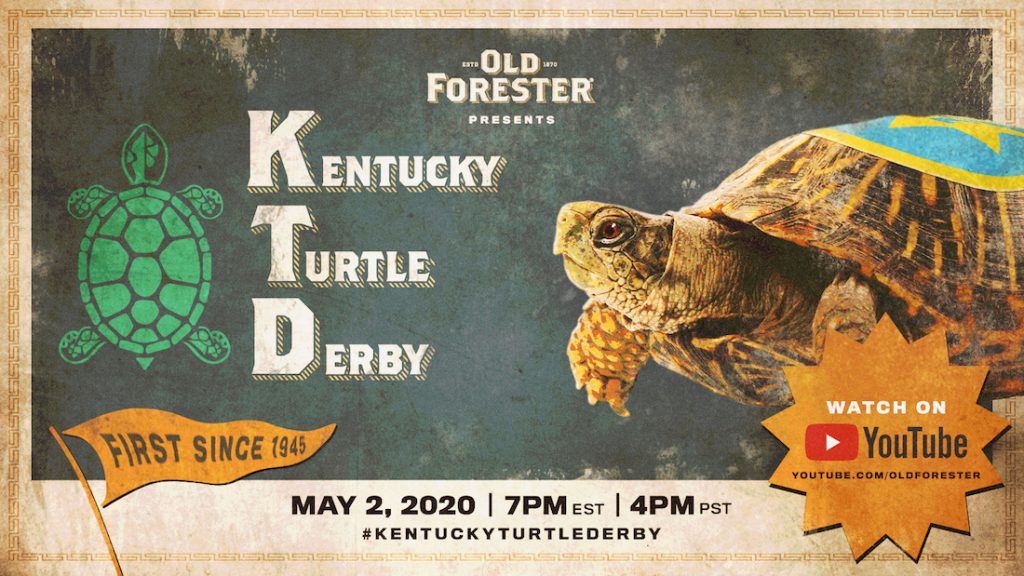 Kentucky Turtle Derby Race