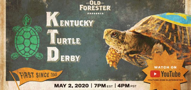 Kentucky Turtle Derby Race