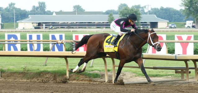 Art Collector Horse Ellis Park Derby Wins